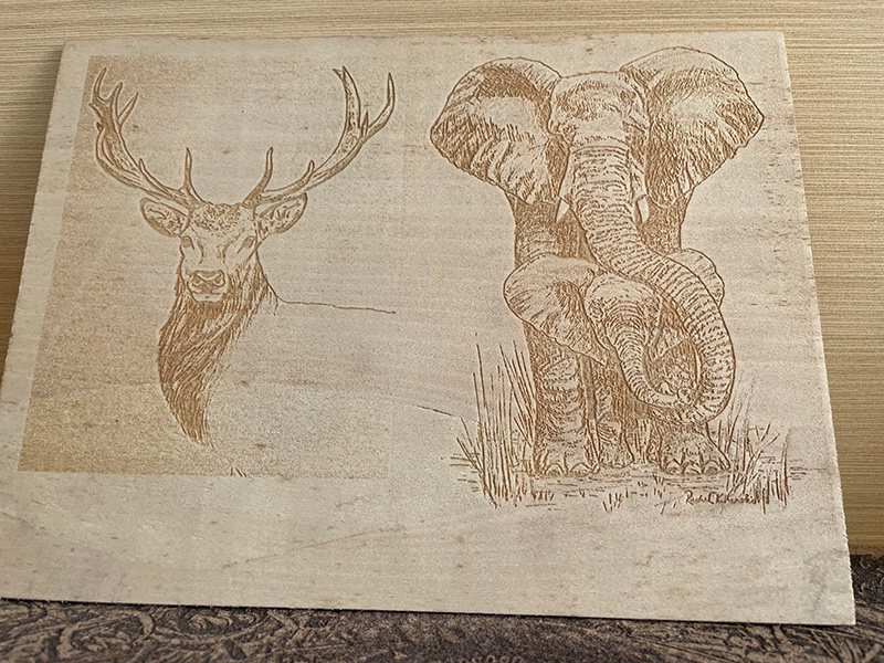 CO2 Laser Sample Display