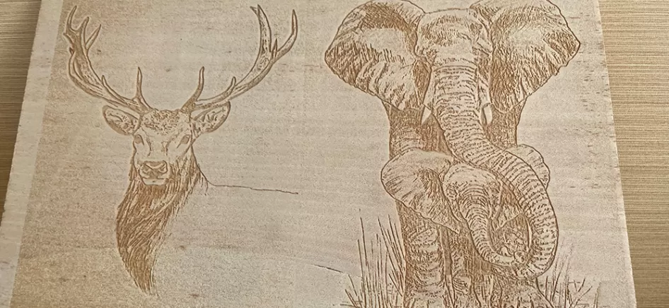 CO2 Laser Sample Display